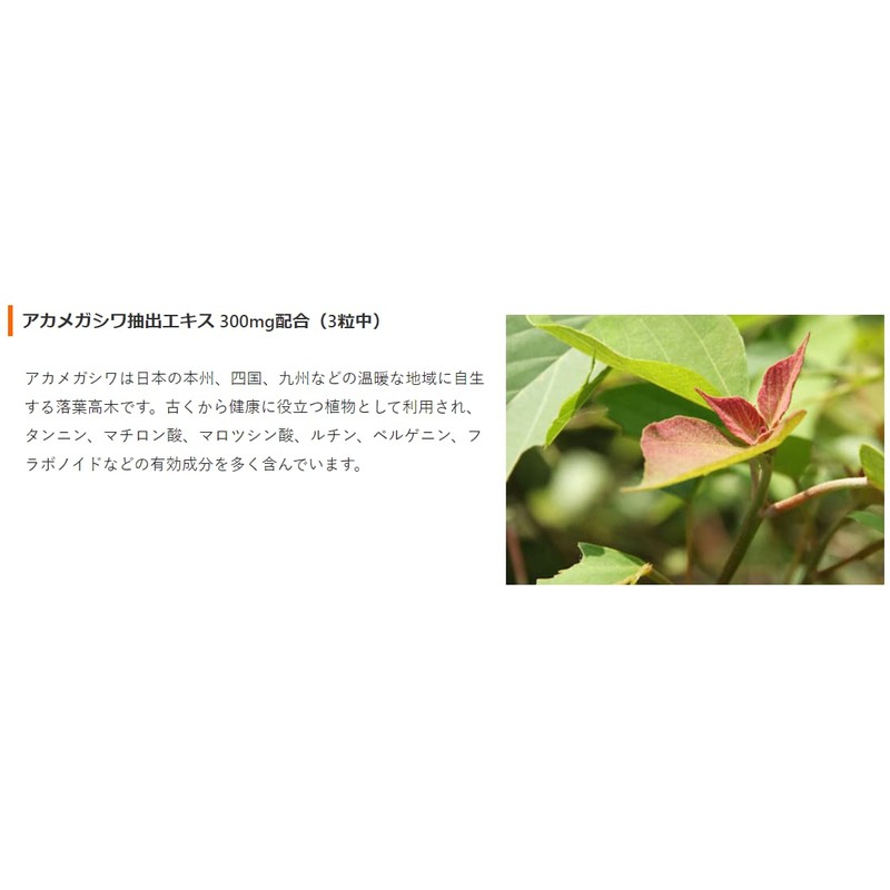 Wakasapuri Lactic Acid Bacteria, 90 Tablets, Approximately 1 Trillion Lactic
