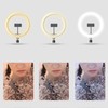 26cm Ring Shape Fill Light Live Steaming Supplementary Lamp with