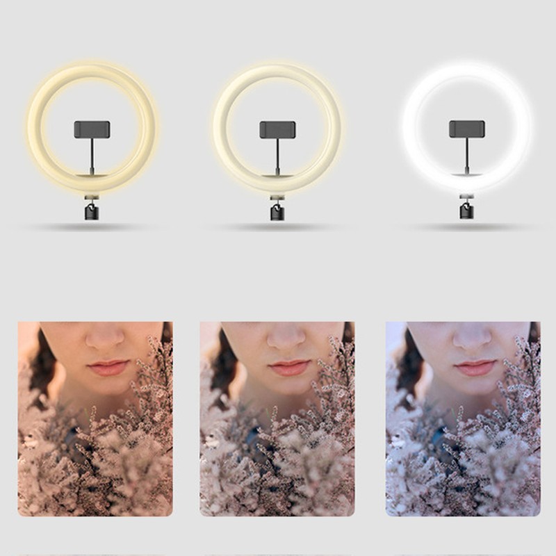 26cm Ring Shape Fill Light Live Steaming Supplementary Lamp with