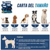 SlowTon Pañales Lavables para Perros Macho Más Amplio, Set de
