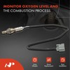 A-Premium O2 Oxygen Sensor Compatible with Acura RSX 2002 2003