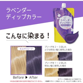 Tottimo! Dip Color Lavender Color Treatment 500g Color Butter