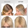 THICK FIBER Root Powder - Hair Concealer for Hair Thickening