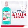 Parodontax Active Gum Health Breath Freshener Mouthwash, 3 x 16.9