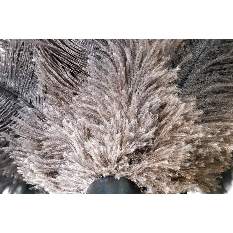 Royal Duster®, Premium Genuine Ostrich Feather Duster 14 inch