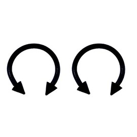 Lex & Lu Pair of Titanium Circular Barbell w/Cones Horseshoe Earrings 18-14G