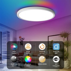 TALOYA Smart Ceiling Light Flush Mount LED WiFi,Compatible with Alexa Google Home,Dimmable Low Profile Ambient Light Fixture for Bedroom Living Room Hallway Kitchen Nursery,12 Inch,RGB