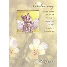 Cat with Wings Die Cut Window - Designer Greetings Pet Sympathy Card
