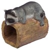 RAIDER THE RACCOON GUTTER GUARDIAN