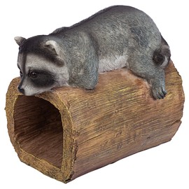 RAIDER THE RACCOON GUTTER GUARDIAN