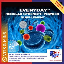 Equine America Everyday Vitamin & Mineral (1.5kg) Horse Vitamins and Minerals Supplement, Supports Everyday Health and Wellbeing. Great Horse Gut Balancer with Probiotics