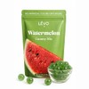 LĒVO Gummy Mix - Watermelon- Make Your Own Infused Gummies
