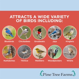 Pine Tree Farms Woodpecker Classic Seed Log for Wild Birds, 36 oz. (3 Pack)