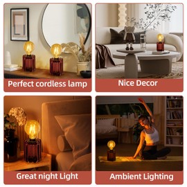 Set of 2 Battery Operated Table Lamp, Battery Powered Cordless Lamp with Timer, Glass Bulb Shape Decorative Lights for Living Room Bedroom Weddings Parties Patio Events Indoors Outdoors（Rust）