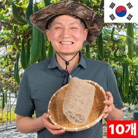 몽둥이 천연 수세미 100% 국산 프리미엄 소 10cm, 10개입, 1세트 Mongdungi Natural Sponge 100% Domestic Premium Size 10cm, Pack of 10, 1 Set