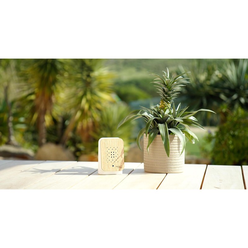 RELAXOUND Original Junglebox Oak - Modern Nature Sound Box -