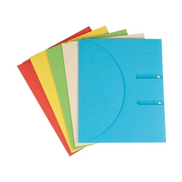 Elco Ordo Collecto A4 250x315mm Expanding Folders for A4 Ring Binders - Multicoloured (Pack of 10)