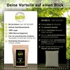 Boldo Leaf Tea Organic 100g - Hand-Picked - Boldo Tea