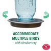 Perky-Pet Perky-Pet 1 Mason Jar Wild Bird Waterer 783, Blue