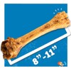 Jack&Pup 8-11” Shin Bones, Roasted Meaty Beef Bone for Dogs