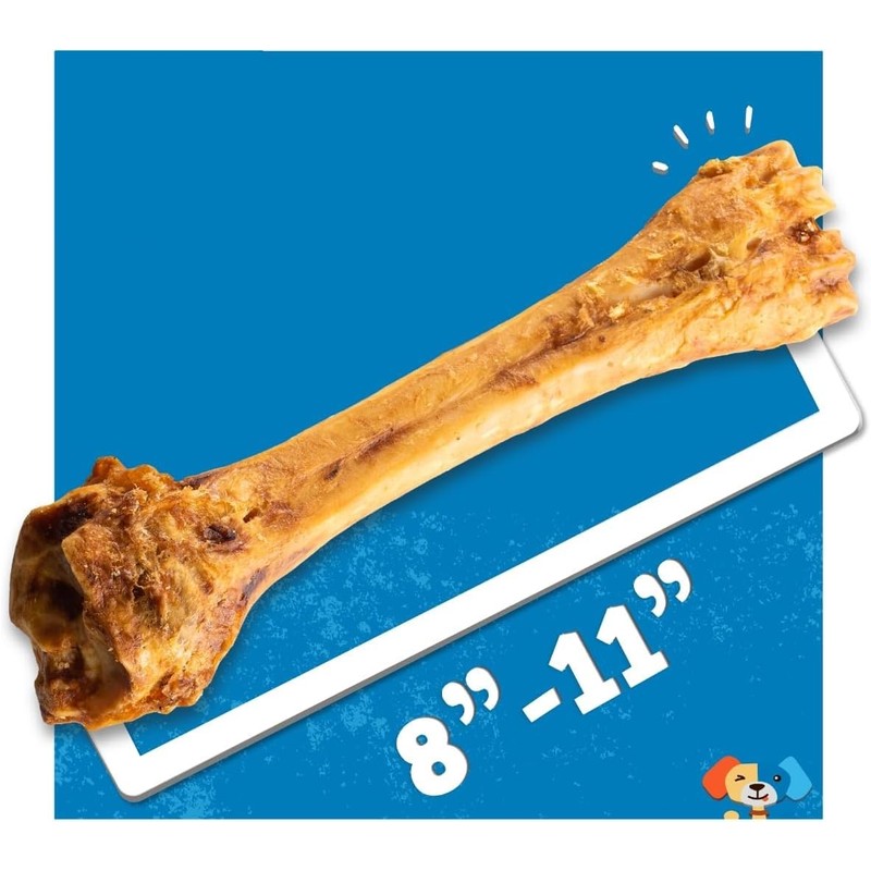 Jack&Pup 8-11” Shin Bones, Roasted Meaty Beef Bone for Dogs