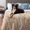PetAmi Waterproof Dog Blanket for Large Dog, Queen Size Calming