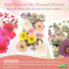 Gugxiom Flores Prensadas Secas para Resina, 5 Bolsas de 100 Piezas de Flores Prensadas, 5 Temas de Colores, Flores Secas para Arte de Uñas, Resina, Diseño de Joyería de (Tipo 4)