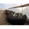 Bootstrap Farmer Large Grow Bag Raised Bed with Handles, 3
