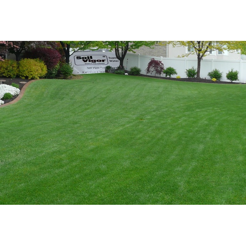 Soil Vigor Potassium Polymer – Superabsorbent Soil Conditioner – Improves