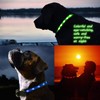 LED Safety Dog Collars - USB Rechargeable 7 Changing Colors
