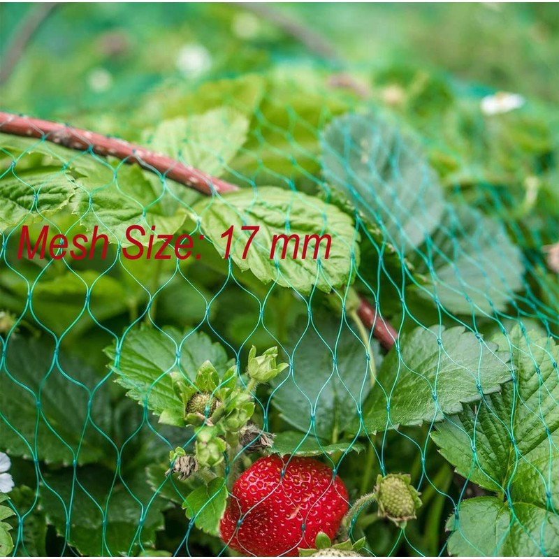 LXGKREL Bird protection net, bird net, pond net, garden net,