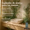 Jabón Líquido Manos con Aceite Esencial de Eucalipto 500ml Aura