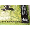 Ibaraki Japanese Hyuga Pumice for Orchid & Bonsai Tree Soil