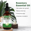 3pcs Romero Aceite Romero Para Cabello El Cuero Cabelludo