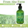 Gel de aloe vera