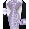 DiBanGu Mens Tie and Lapel Pin Set Silk Lilac Paisley