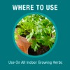 Baby Bio Herb Plant Food, Herb Fertilizer for Potted Plants,