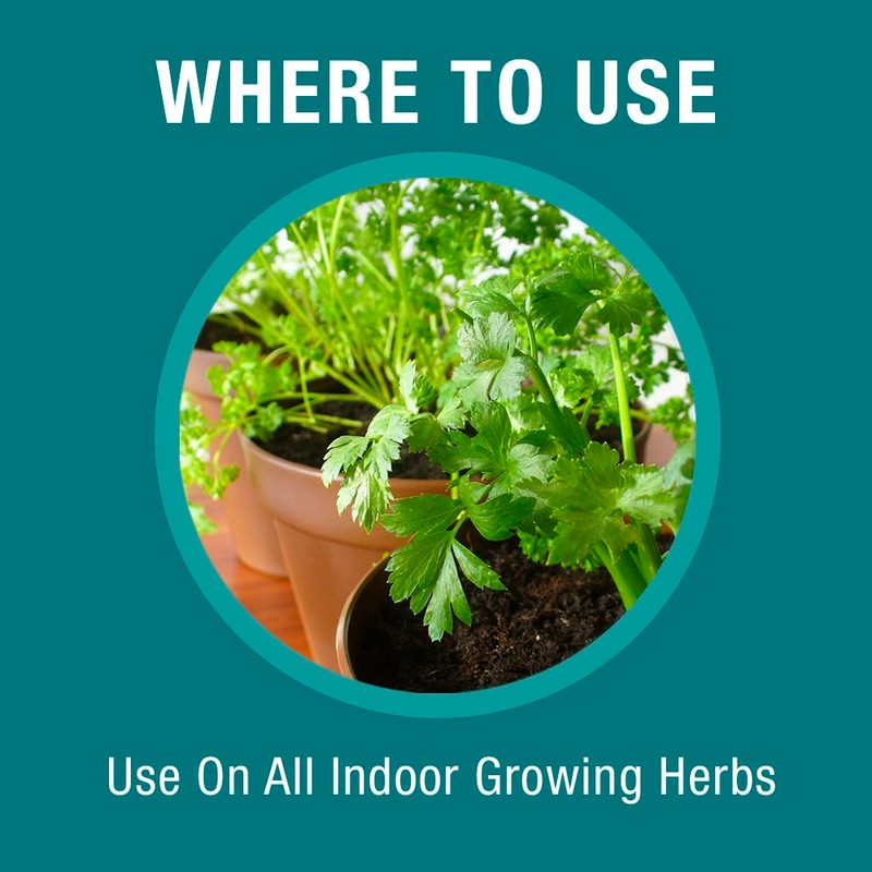 Baby Bio Herb Plant Food, Herb Fertilizer for Potted Plants,