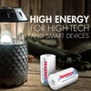 Tenergy Combo: 4 pcs Premium D Size Rechargeable Batteries High