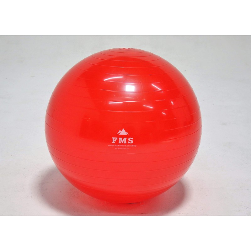 FIMISU 65cm Fitness Stability Ball • Yoga Balance Ball •