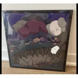 Snoop Doggy Dogg DoggyStyle by KAWS Gallery Picture VINYL Limited to 900