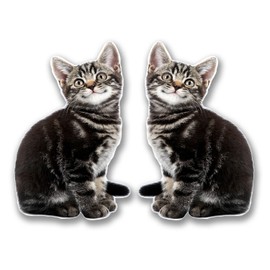 2 x 10cm Smiling Kitten Cat Vinyl Sticker Decal Laptop Tablet Animal #6300 (6.5cm Wide x 10cm Tall)