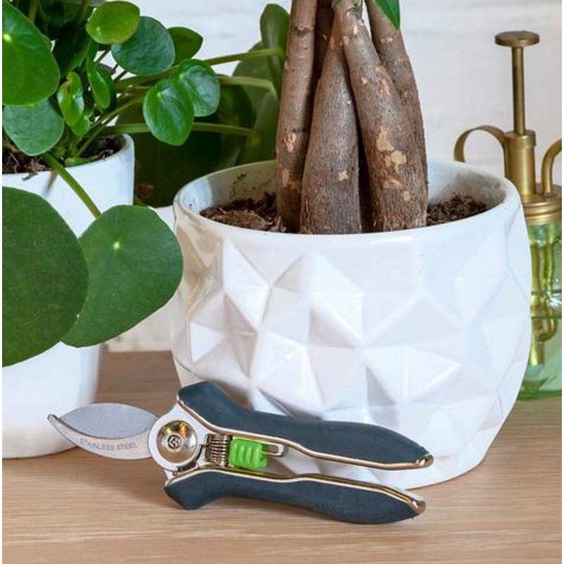 Burgon & Ball House Plant Pruners Secateur, 15.5 cm Length