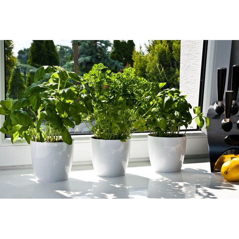 Tymar Pack of 2 Round Shape Planter (Orange, Diameter 18