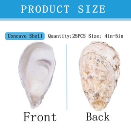 pengaihong 25 PCS Oyster Shells for Crafts 4"-5" Concave Natural Oyster Shells Bulk for Home Decor Vase Filler-Sea Shells Handmade Arts and Crafts for Crafting Christmas Ornaments, DIY Painting