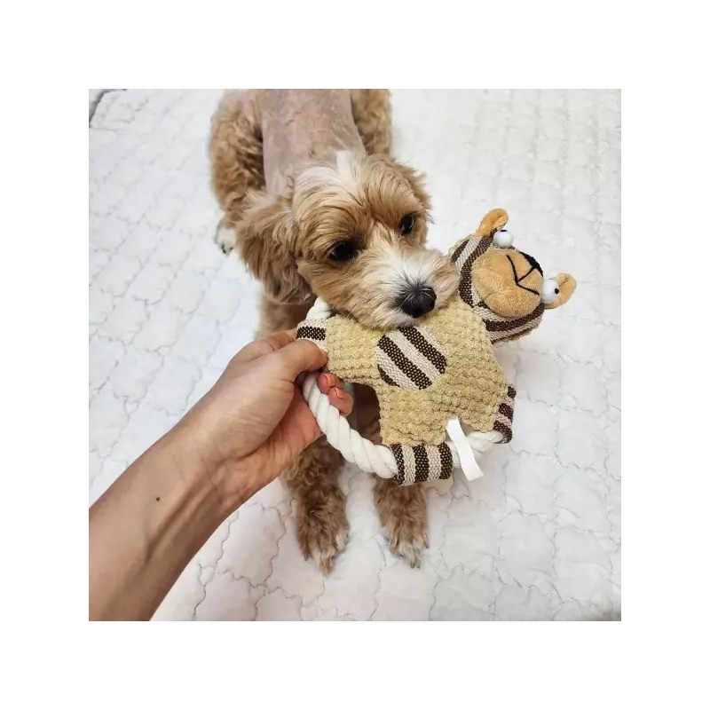 강아지 터그놀이 모양과잉행동교정 전신운동bcd648 Puppy Tug Toy Shape and Excessive