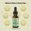 Lovita Bee Propolis 500 mg Liquid Extract | 5:1 Propolis