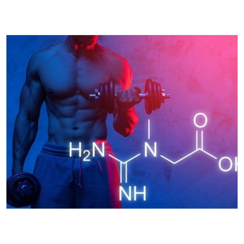 VITA PHARMA Beta Alanine 500mg 30 Capsules | Sports Nutrition