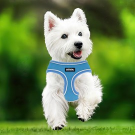 AIITLE Small Dog Harness, Triple-Layer Breathable Mesh, Adjustable Fit & Reflective Design, Choke-Free Over-The-Head Vest for Indoor/Outdoor Use, Perfect for Maltese, Chihuahua (S, Blue)