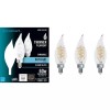 Eco-Smart Ecosmart 60-Watt Equivalent Dimmable E12 Candelabra 3 Pack B11